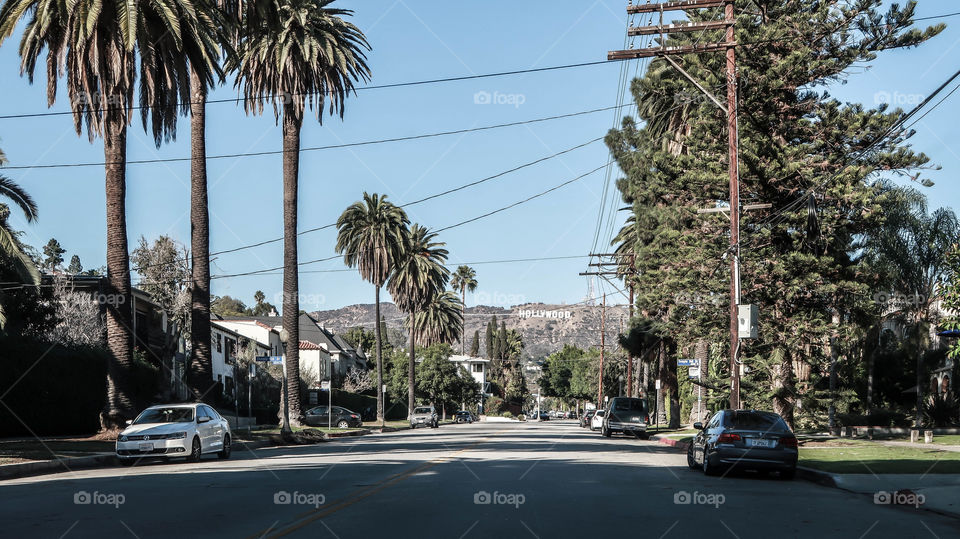 Hollywood sign 