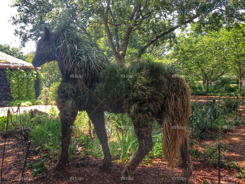 Horse of a different texture. Horse made from plants