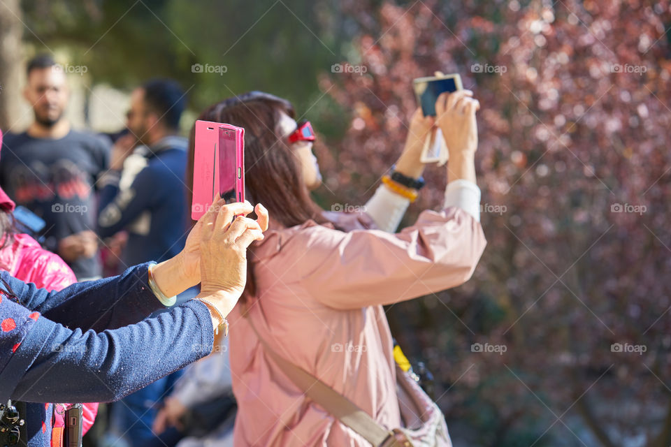 Photographing in Pink