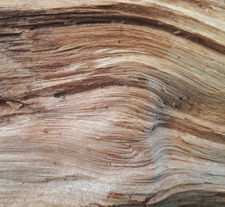 Wood texture