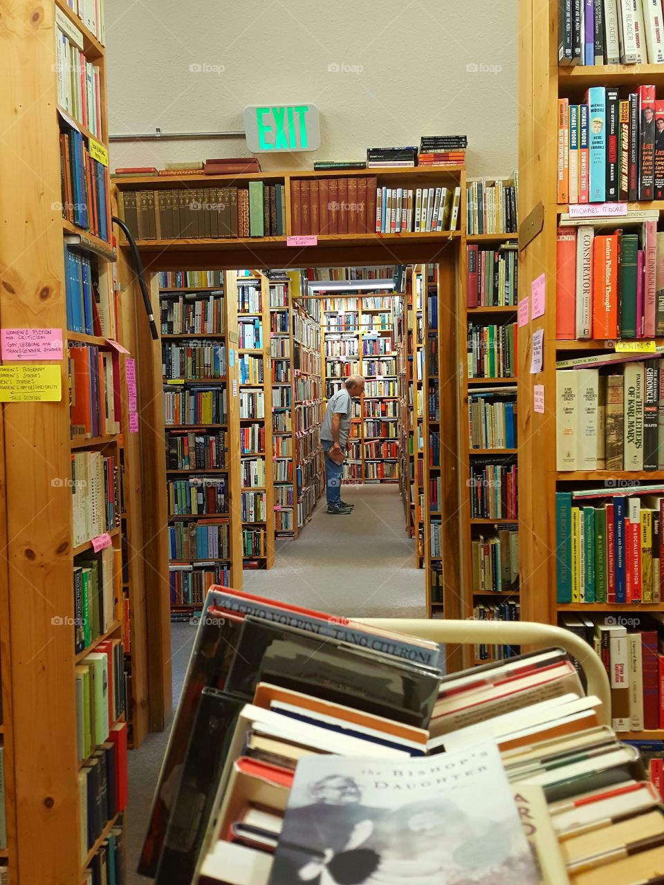 Bookcase, Library, Shelf, Knowledge, Literature