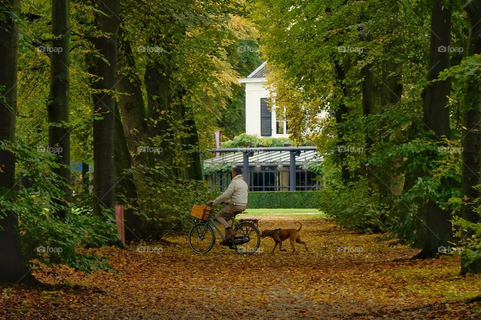 Man on bicycle followed by a dog in autumn colored park.