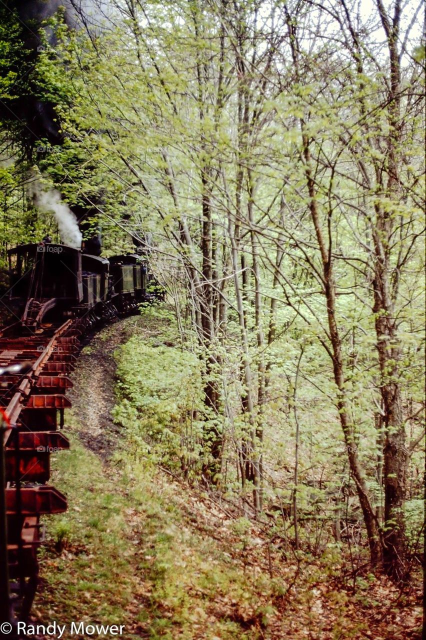 Cash Scenic Railroad 