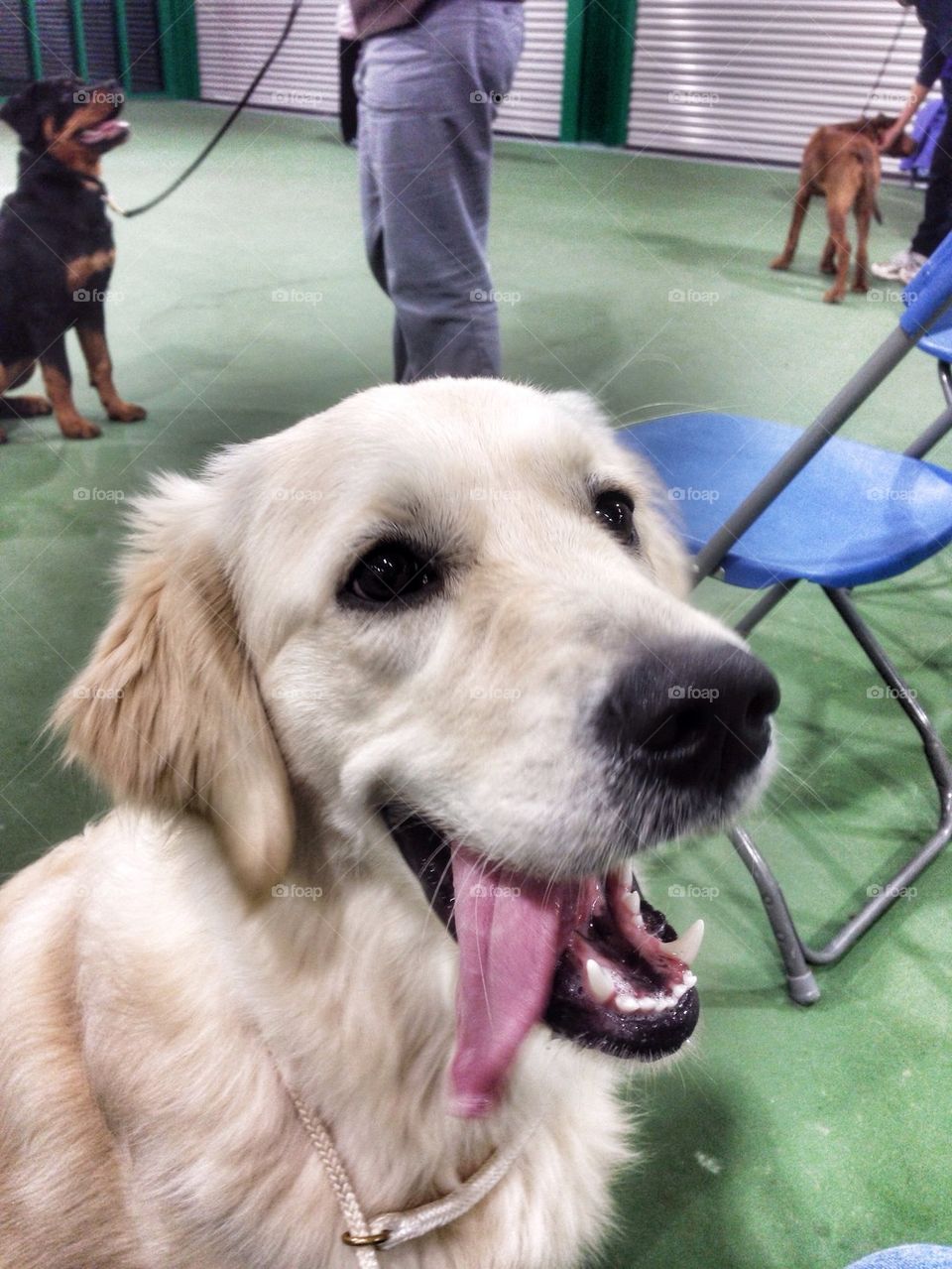 Sweet Zoe... Always with a big happy smile!