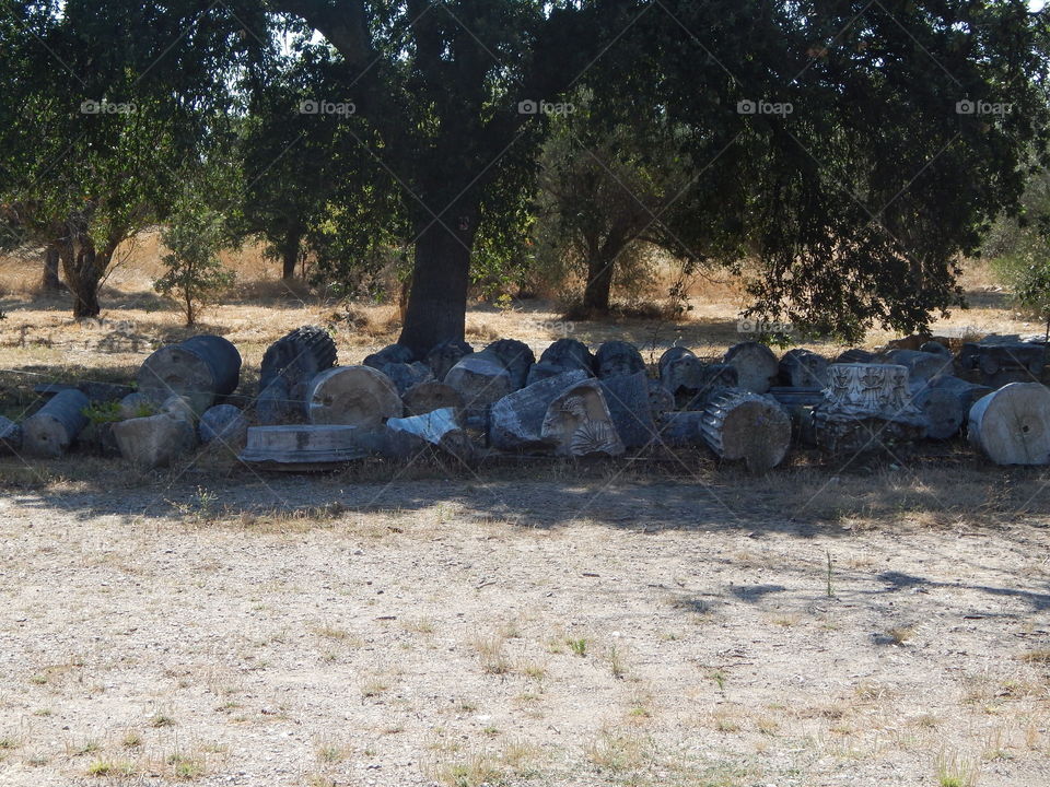 Abandoned columns in Troy, turkey 