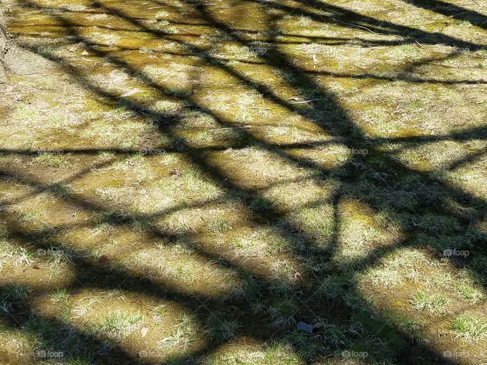 Tree shadow pattern
