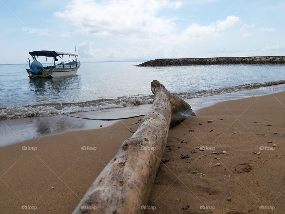 Nature background of beach where an old fallen trunk and boat were found