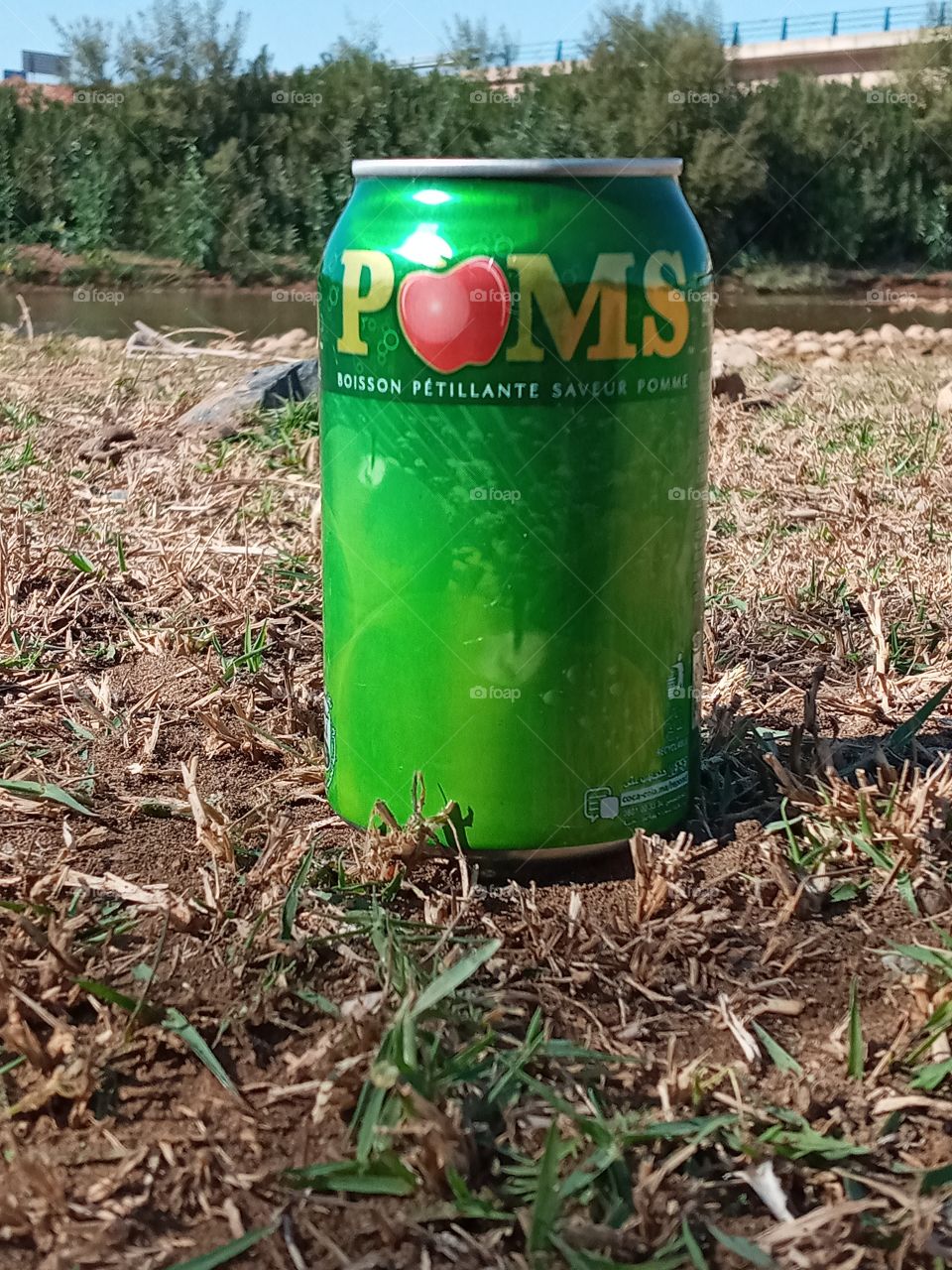 drinking in nature