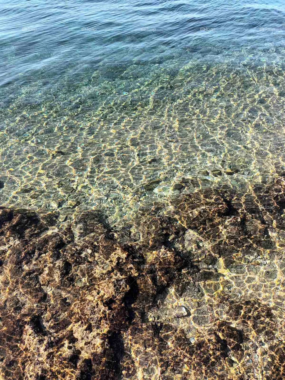 sea