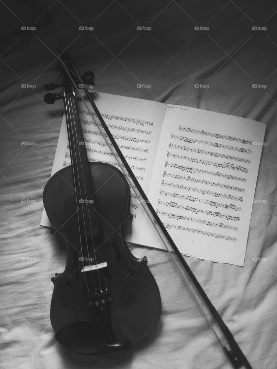 Love music, love violin
