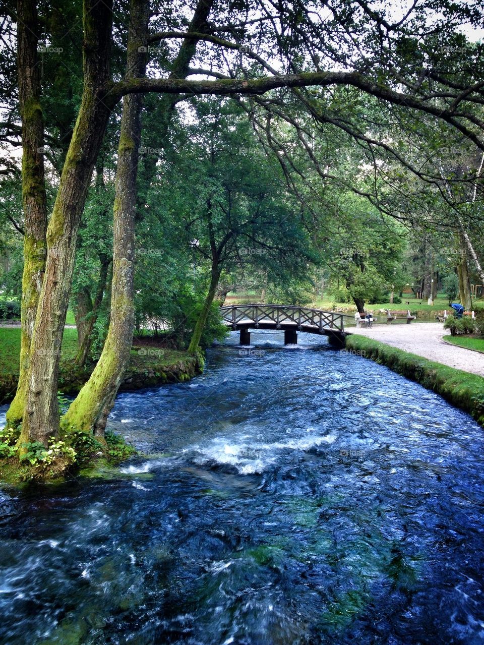 river in park