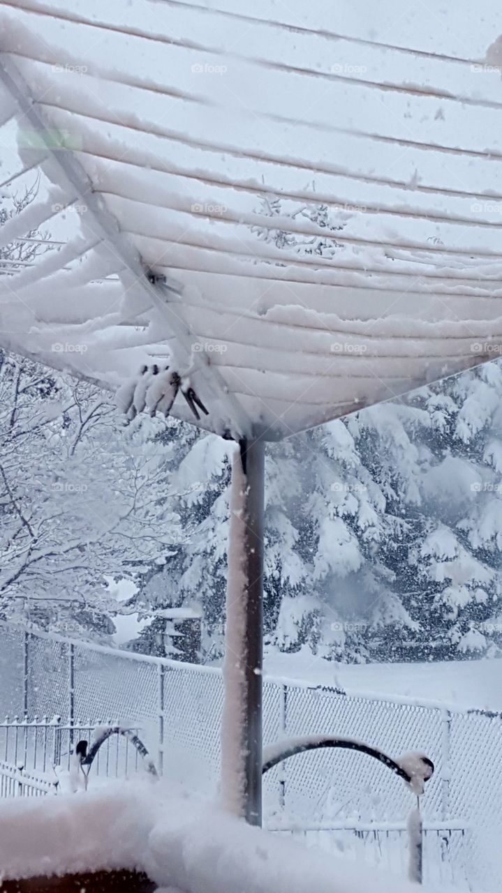 clothes line with snow