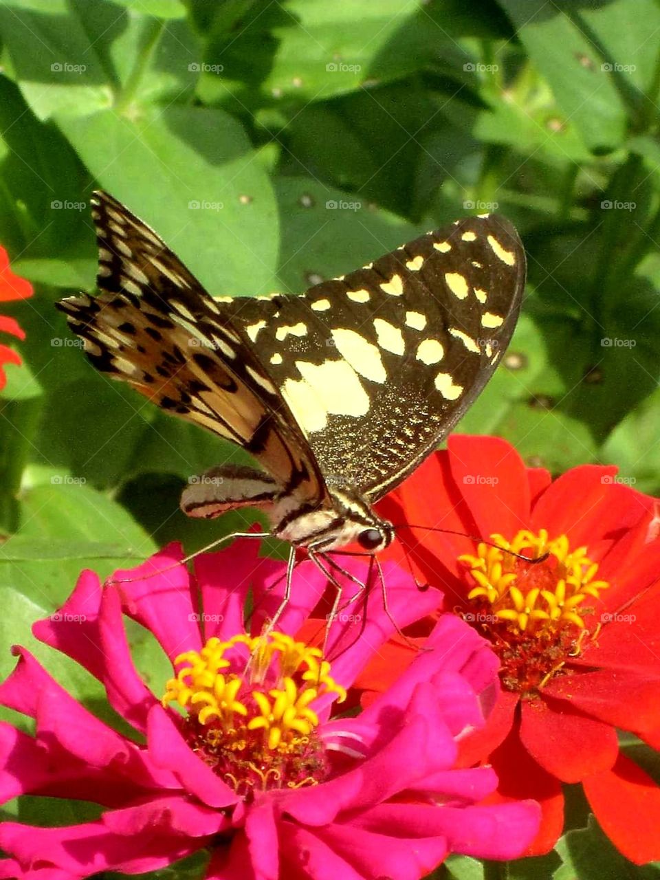 Editors' Choice: Photo of the week