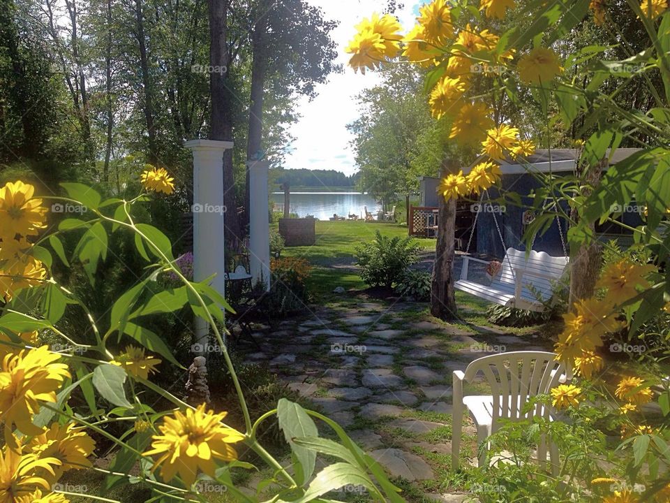 My point view Landscape, garden, water 