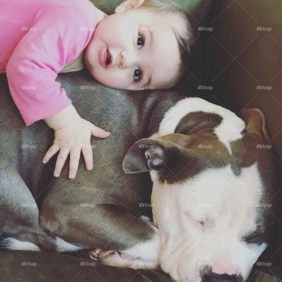 A baby and her dog 