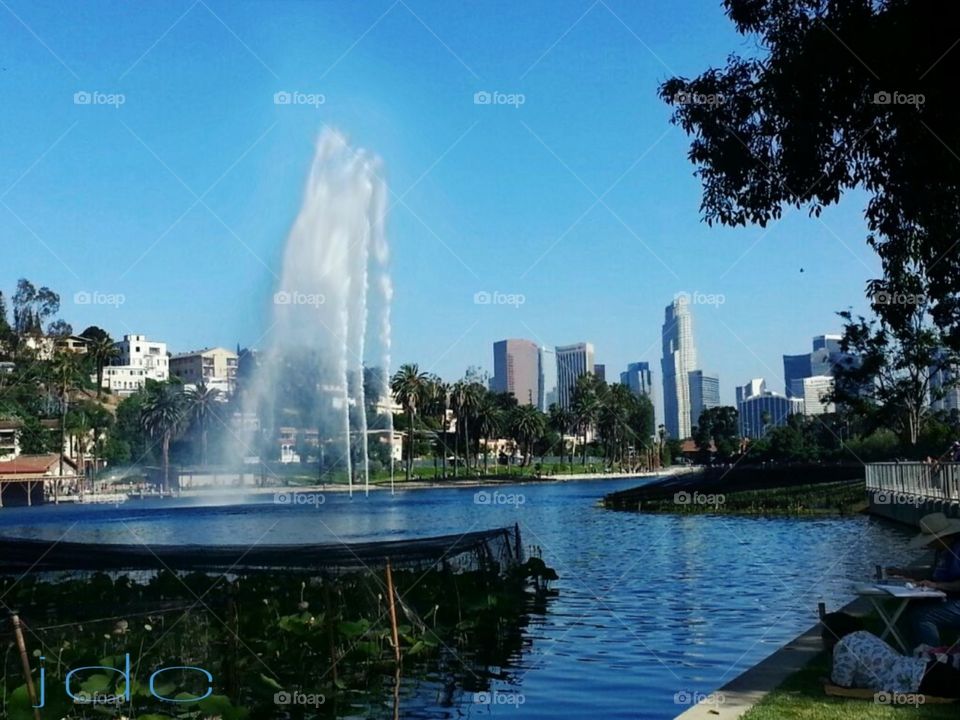 Echo Park a beautiful day in Los Angeles