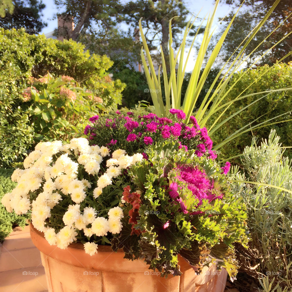 Beautiful Flowerpot! 