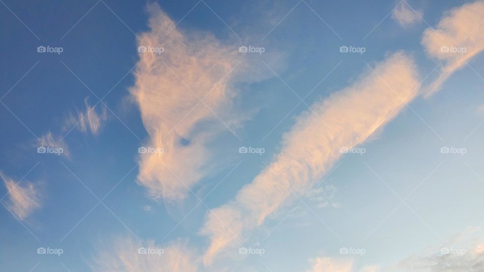 Ein Blick in den Himmel