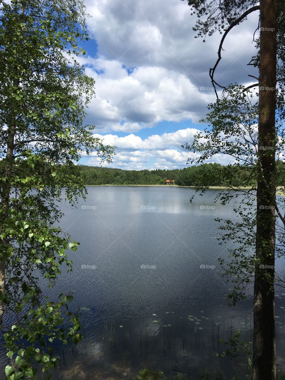 Scenic view of lake