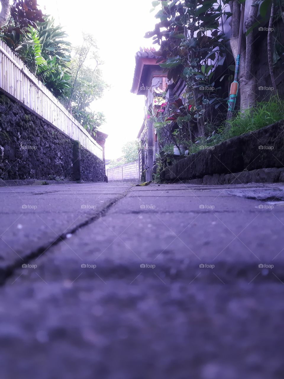 an empty road in the morning.