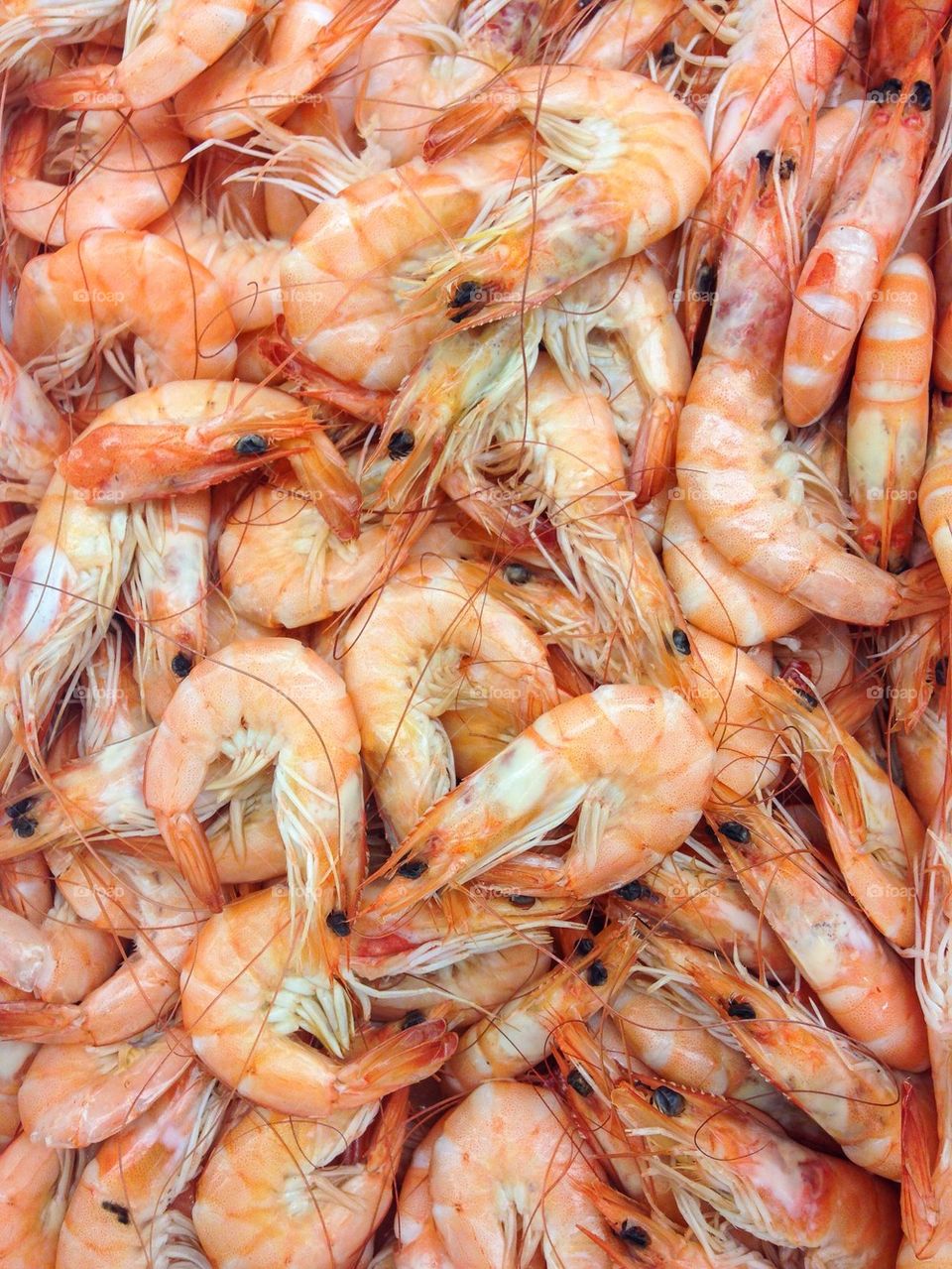 Full frame shot of shrimps