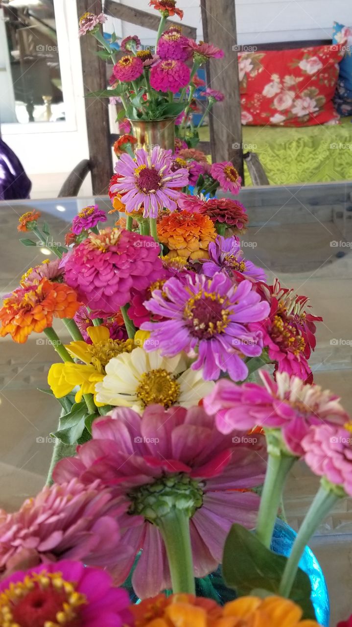 zinnias for the win