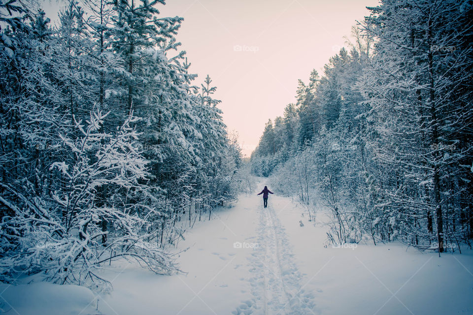 Evening walk