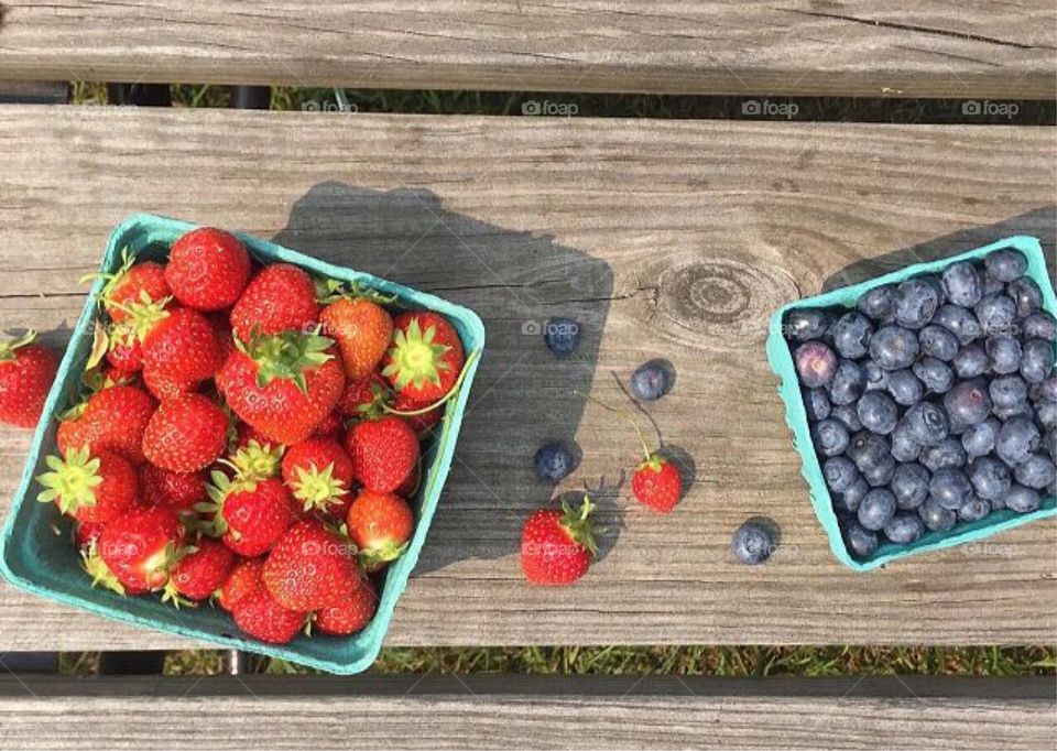 Fresh Picked Berries