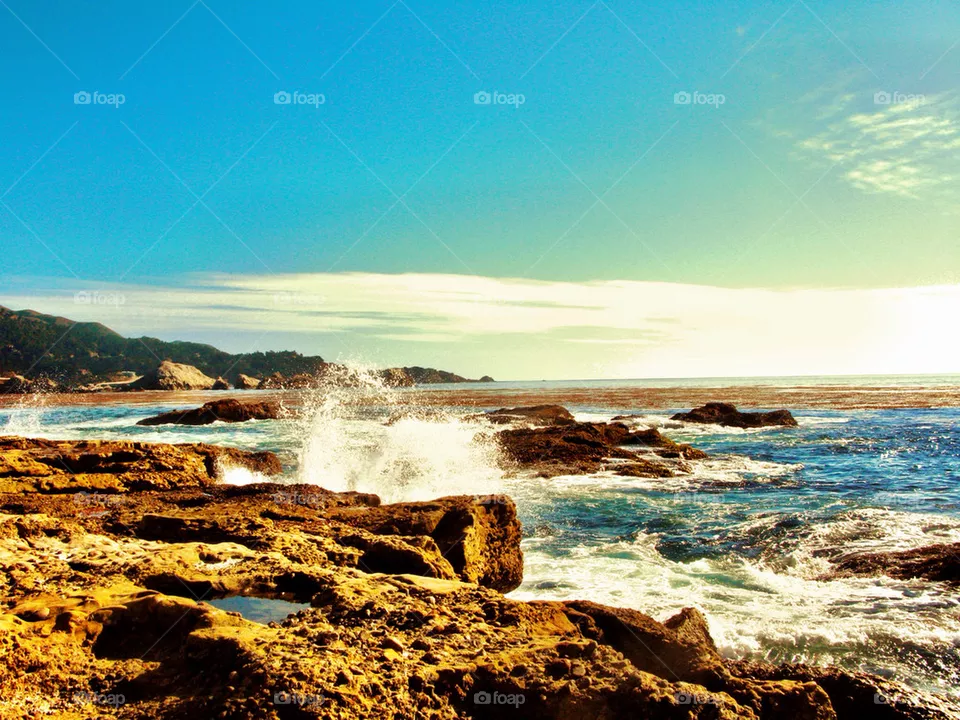 Point lobos
