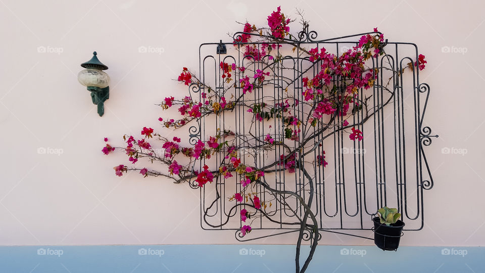 Ornamental iron grills, Algarve, Portugal