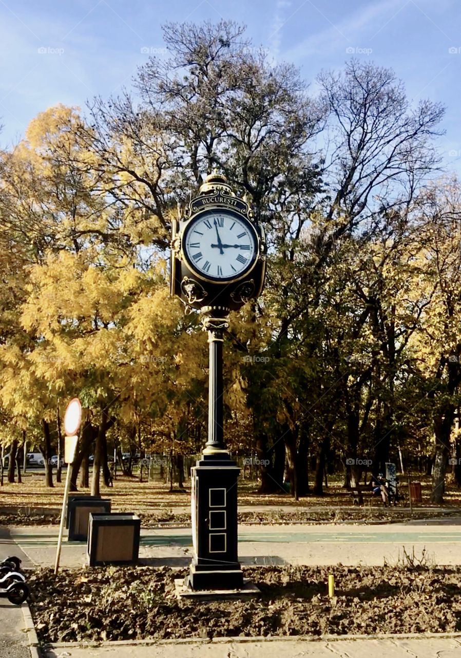 Autumn  Clock in the Park