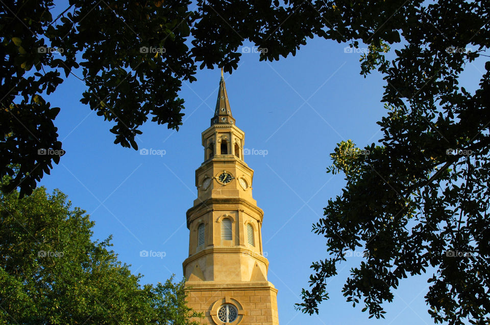 Church. Looking up at a church in Charleston South Carolina