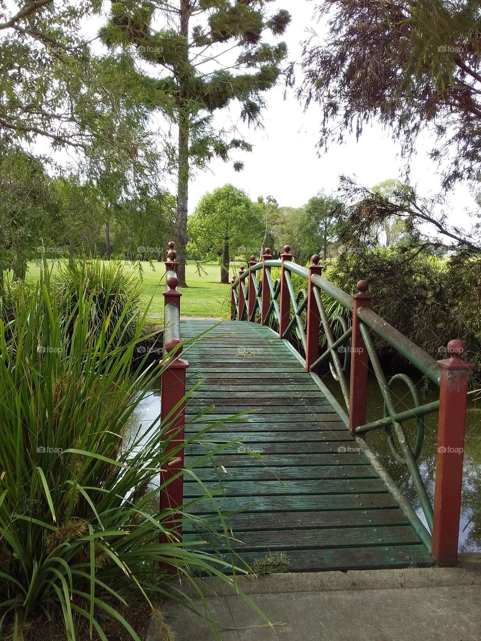 brown and green bridge over creek with grass and trees