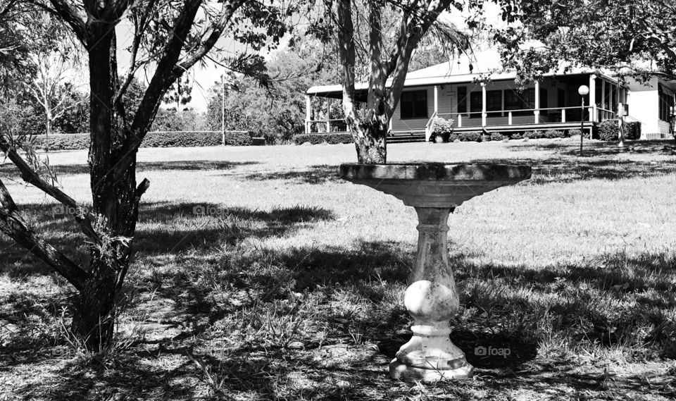 Black and white bird bath