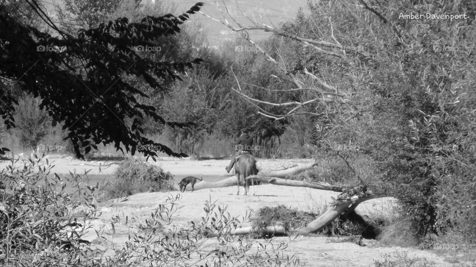 B&W Horseback Rider