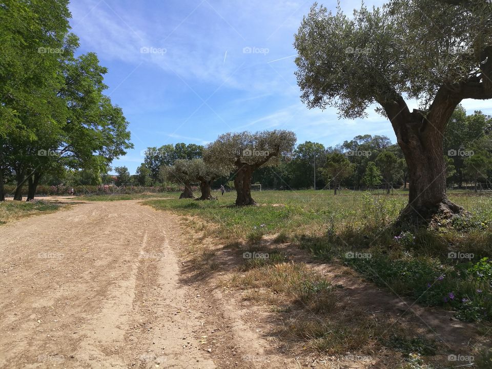 hiking Trail