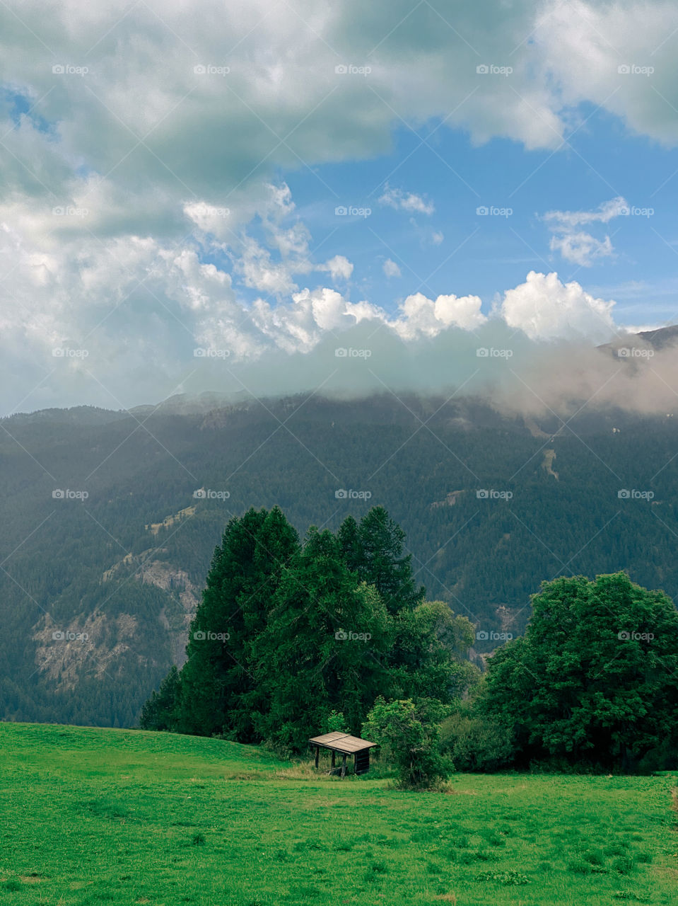 mountains in the clouds 