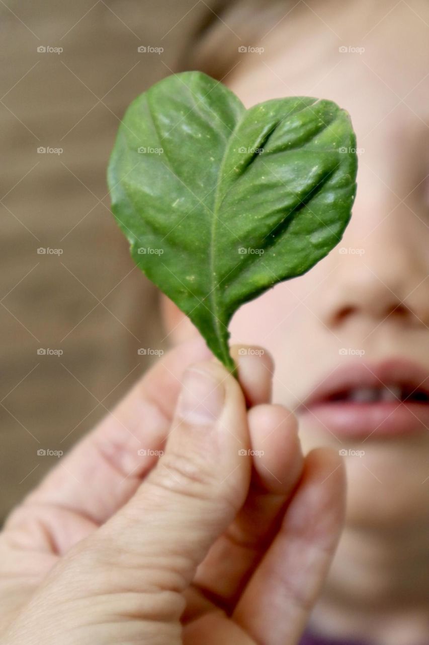 Heart shape leaf with girl on background 