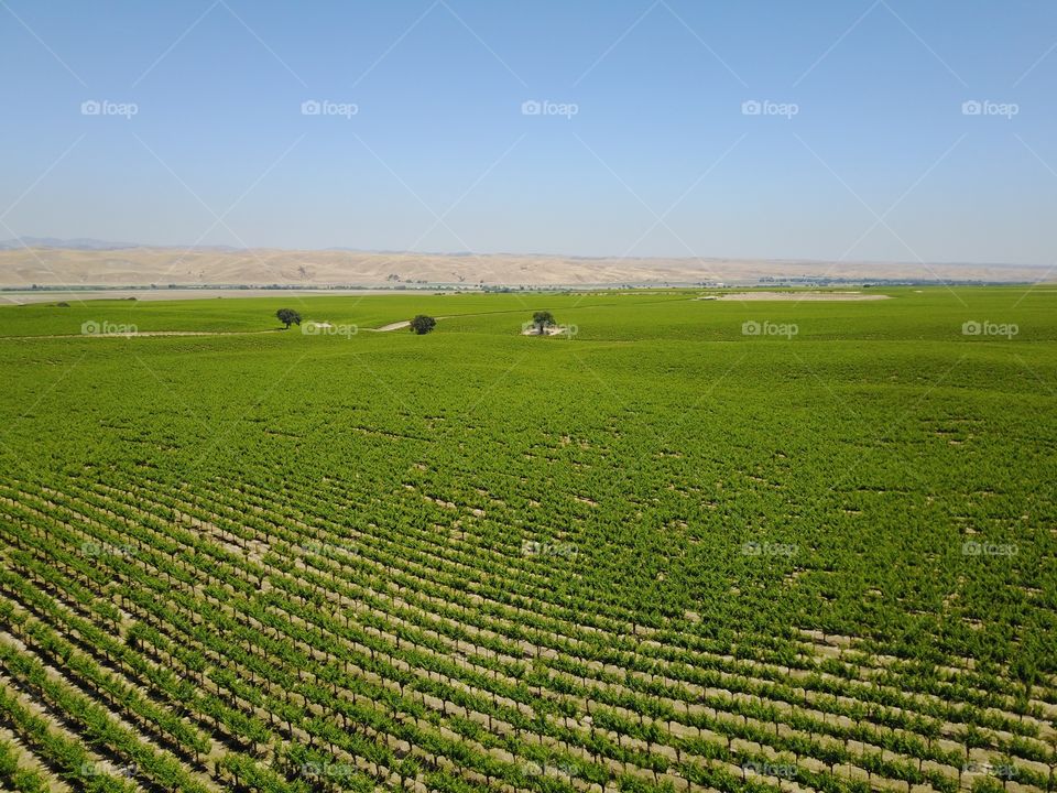Agriculture, Field, Landscape, Farm, Pasture