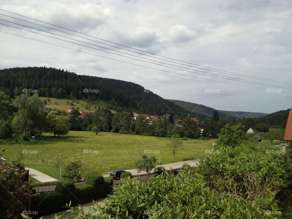 Schwarzwald in Einzkloster