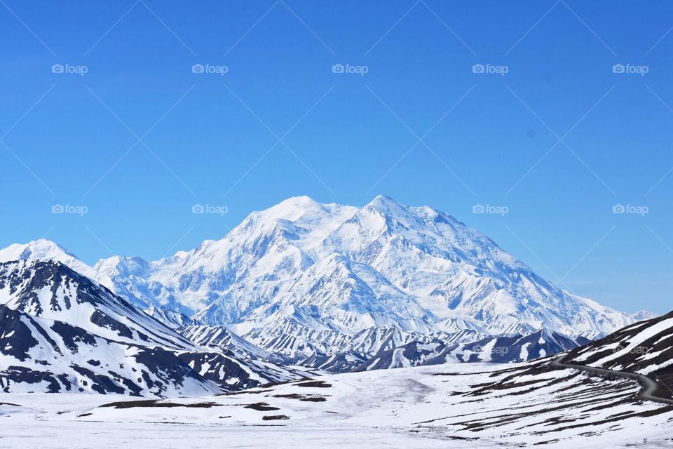 Mt. Denali (also known as Mt. McKinley) in full view! According to the rangers at Denali National Park, 70% of the time you can’t see the mountain at all because it’s hidden in the clouds because it’s so tall (20,310 ft). I’m 40 miles from it here. 