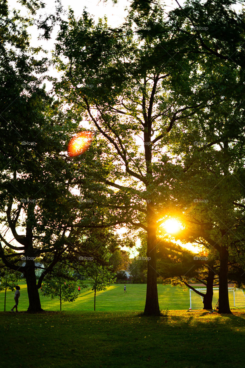 Looking at a soccer field through trees during golden hour in the summer. 