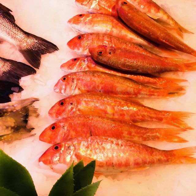 Fish