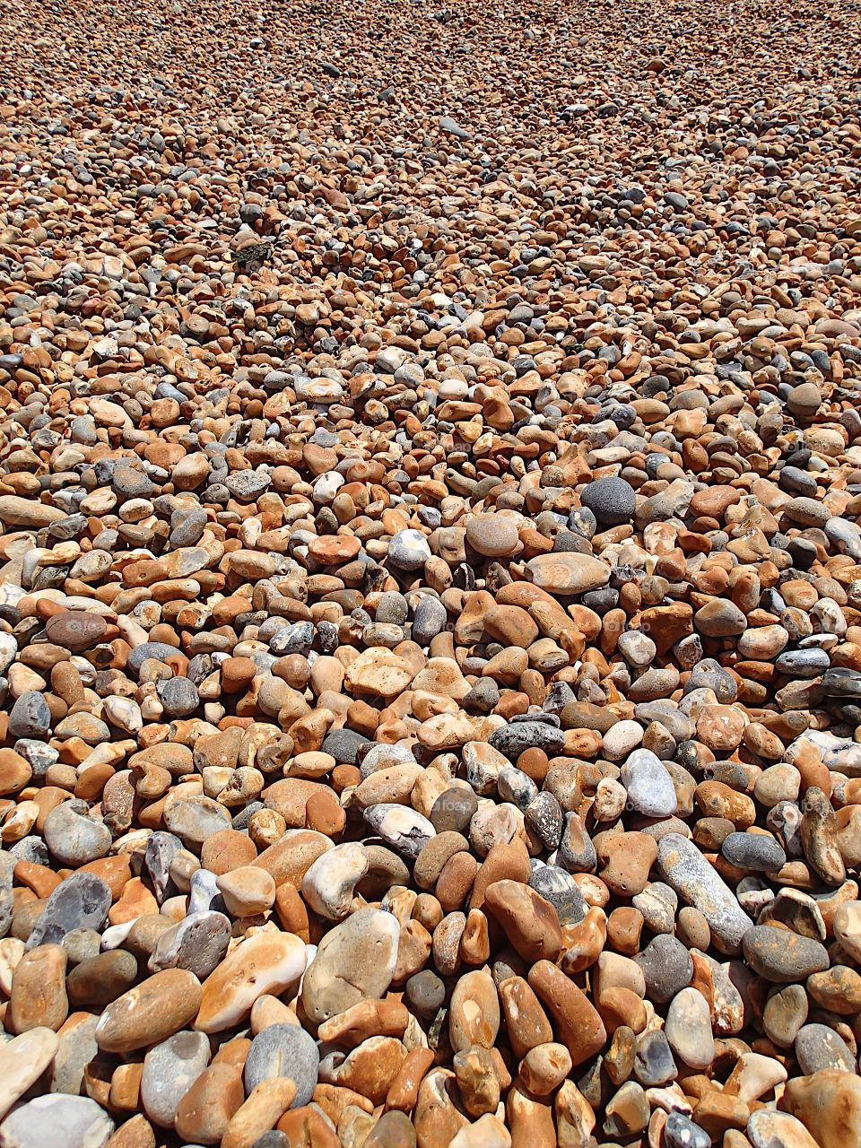 The beautiful texture of a rocky beach on the coast of England on a summer day. 