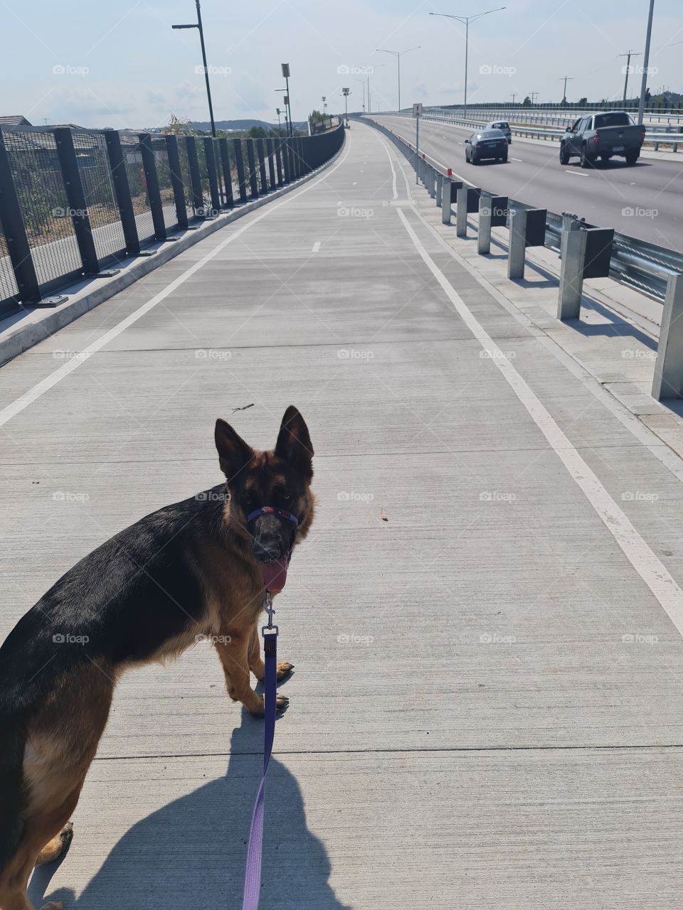 Dad, I don't wanna walk up it!!