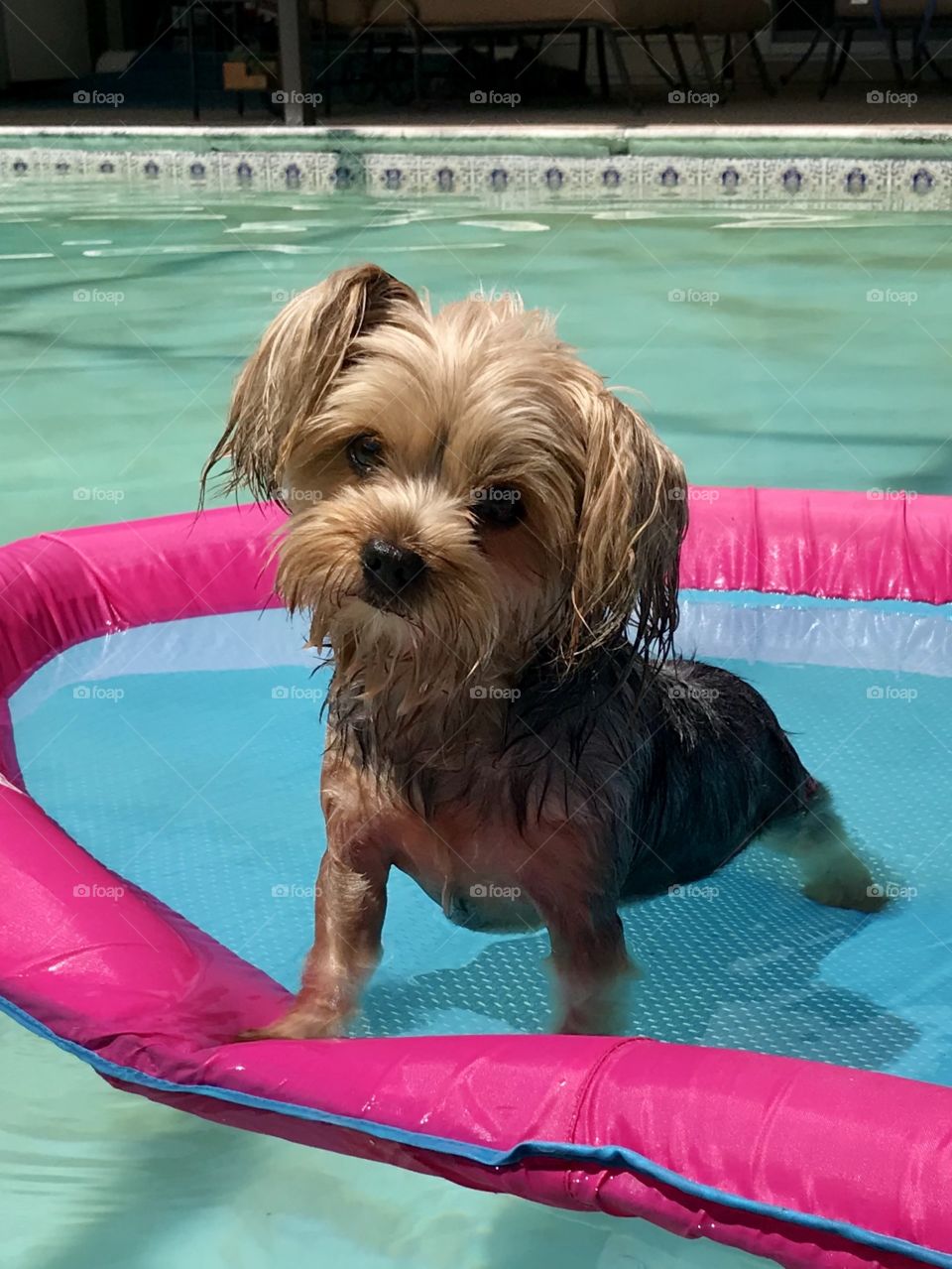 Relaxing in the pool