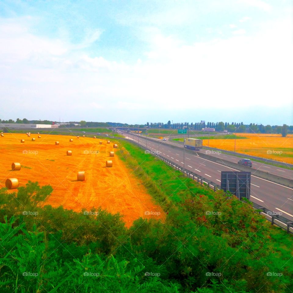 landscape and road