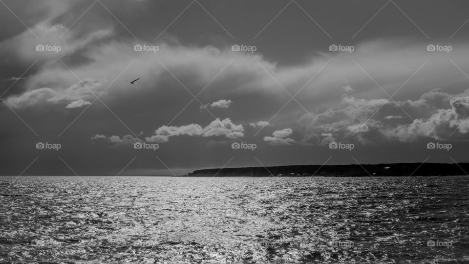 a sea. nobosibirsk reservoir