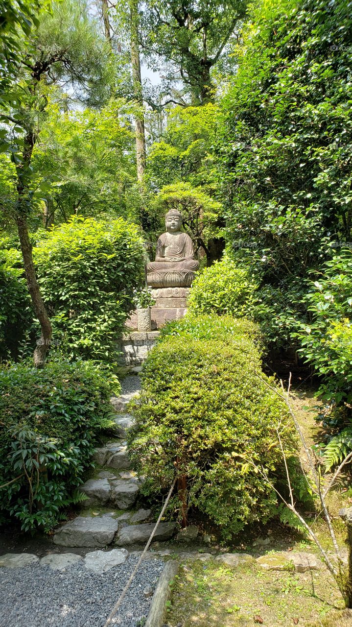 Buddha Statue - Zen Garden - Kyoto Japan