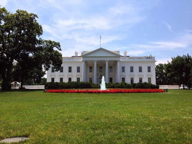 lawn